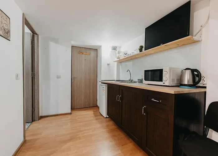 Apartament Piata Amzei Nr.1 *